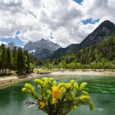 Spica - Private Parking