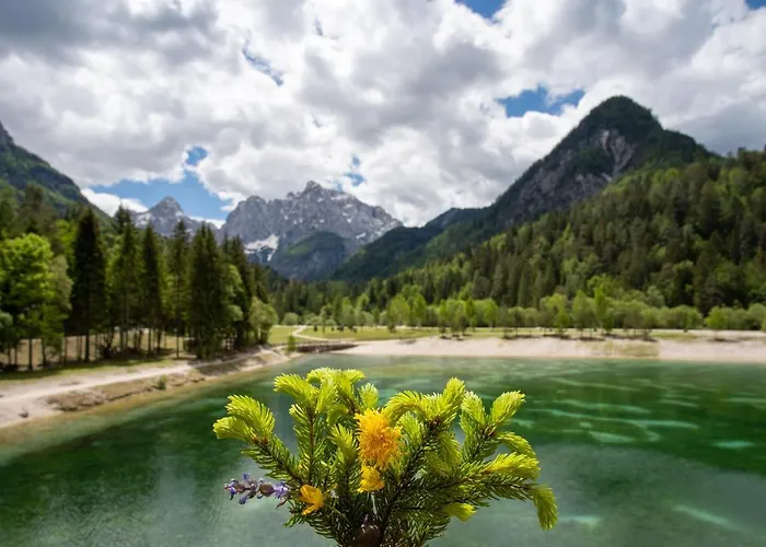 Spica - Private Parking